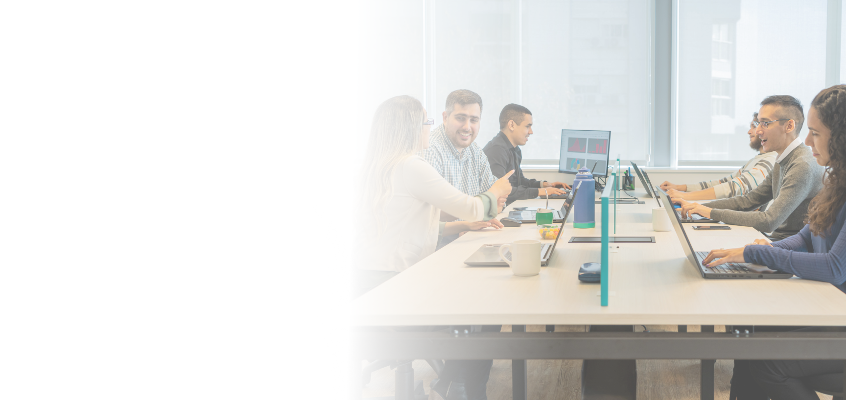 Equipo de Netcontent trabajando en oficina moderna