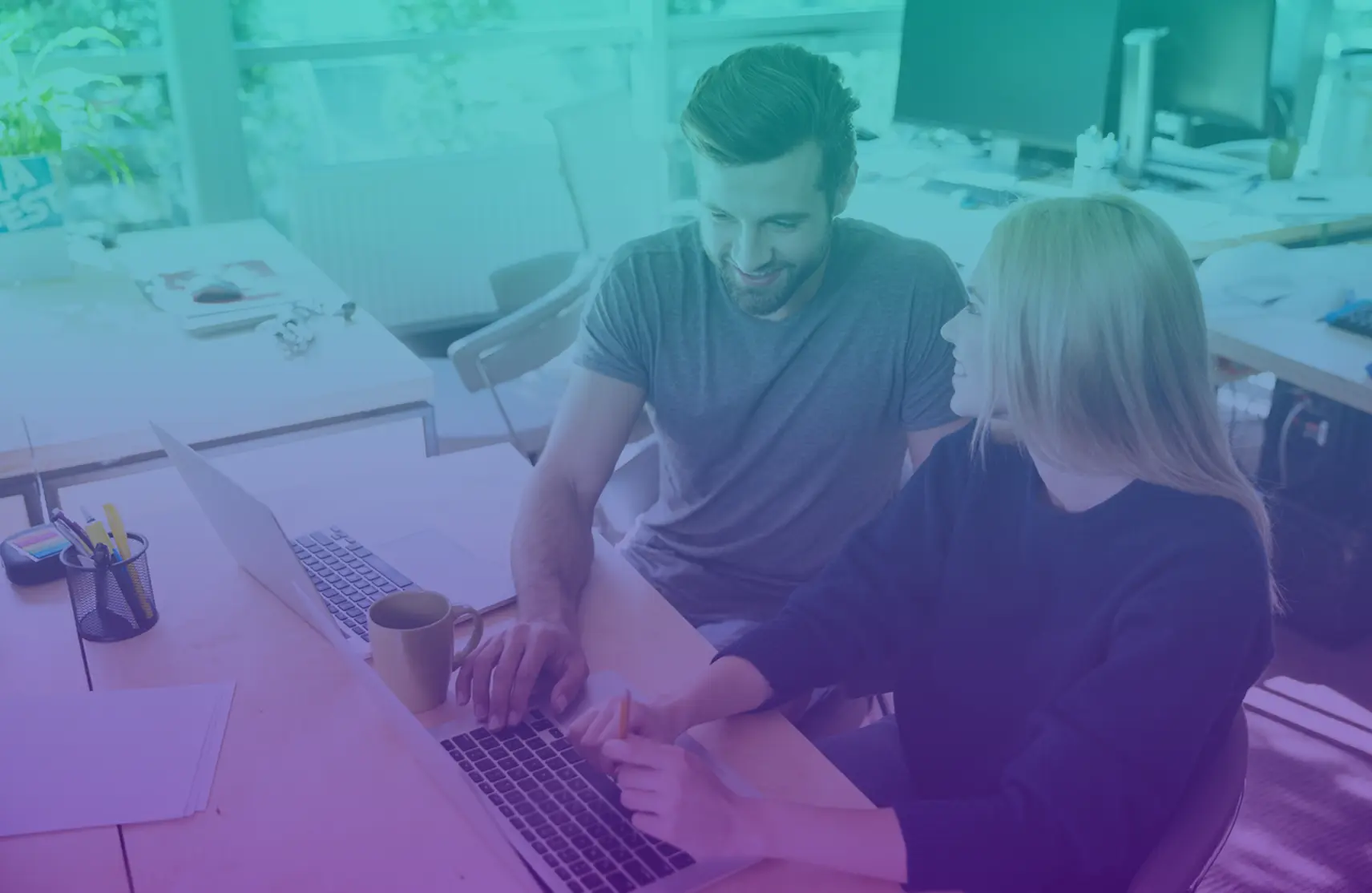 Equipo trabajando con Netcontent