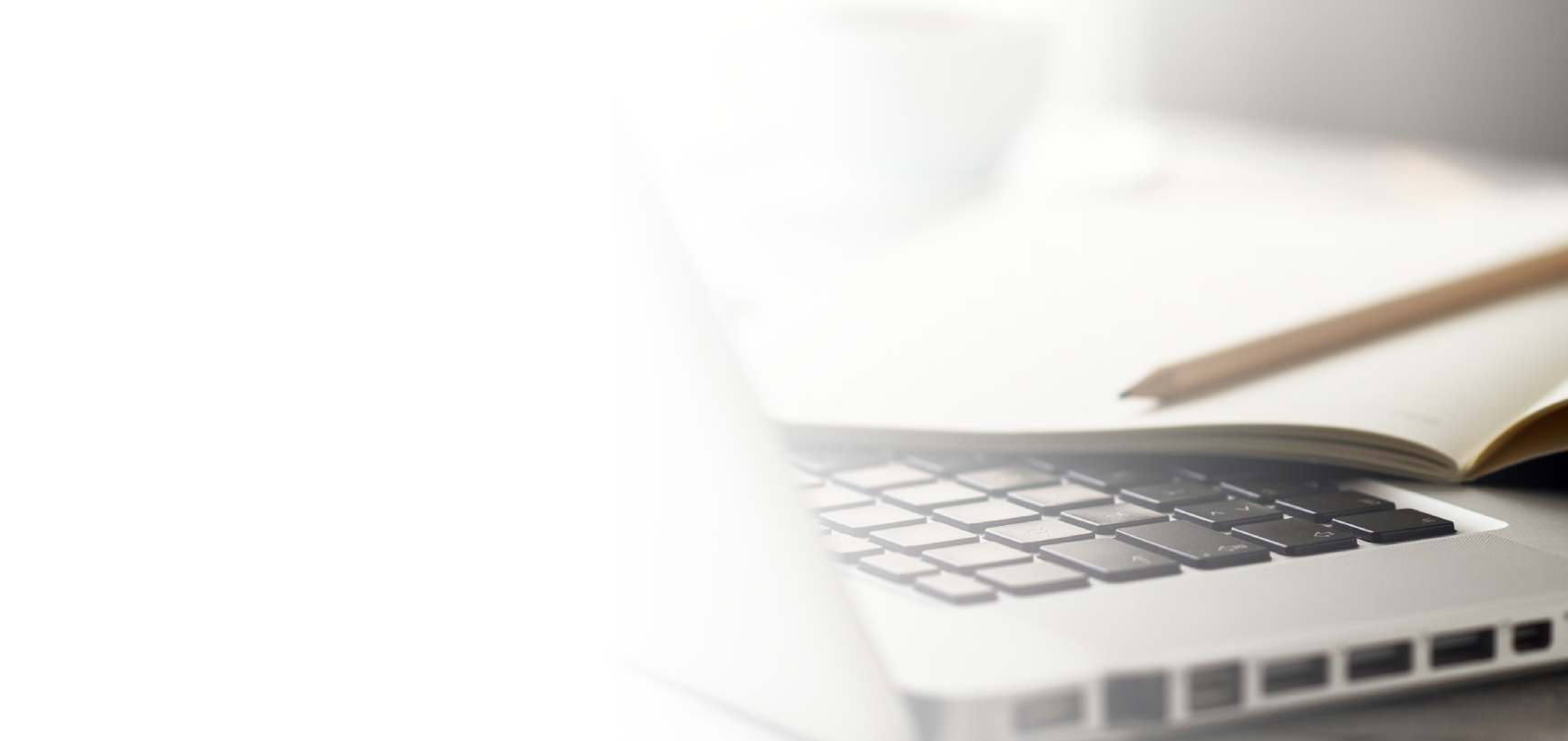 Equipo de Netcontent trabajando en oficina moderna